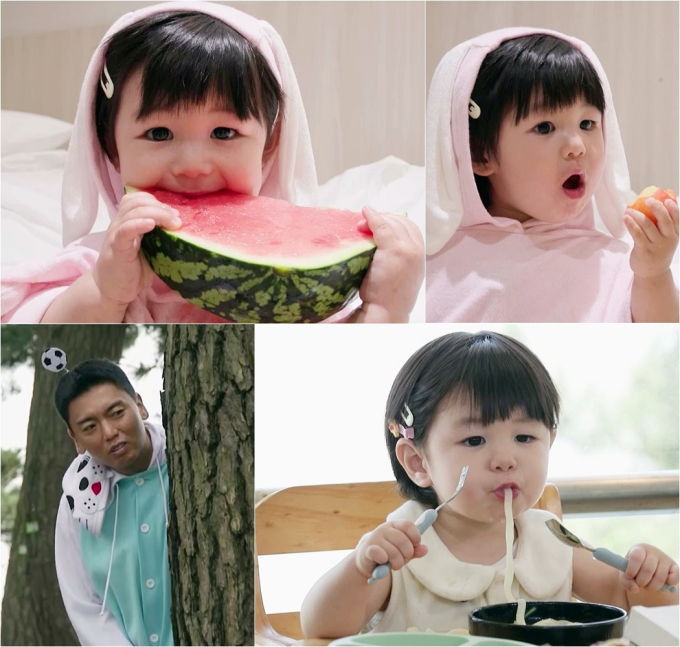 기사 이미지